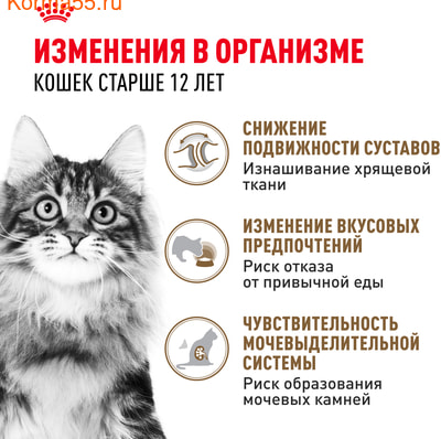   Royal canin Ageing 12+   (,  2)