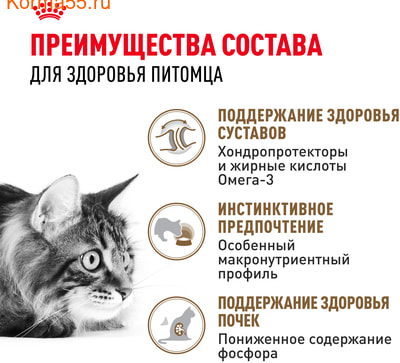   Royal canin Ageing 12+   (,  3)