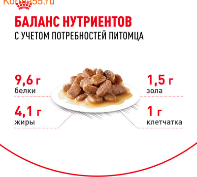   Royal canin Ageing 12+   (,  4)