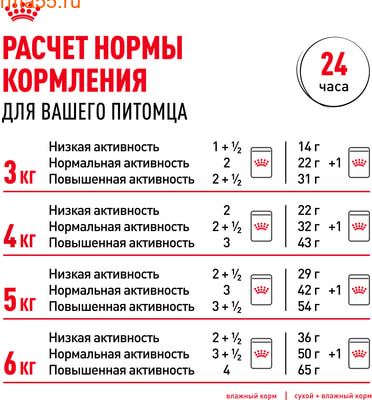   Royal canin Ageing 12+   (,  9)