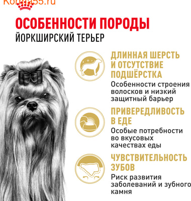   Royal canin Yorkshire Terrier Adult (,  2)