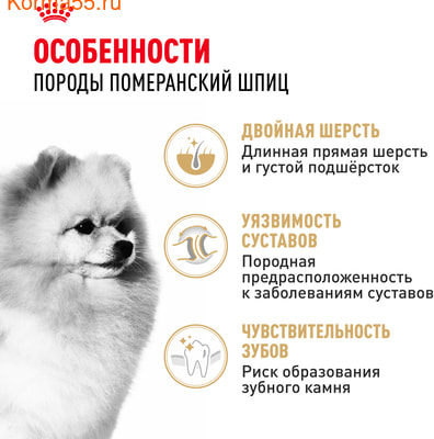   Royal Canin Pomeranian Adult (,  2)