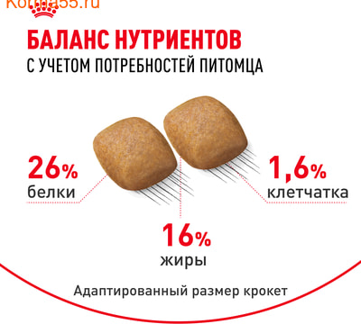   Royal Canin Pomeranian Adult (,  4)