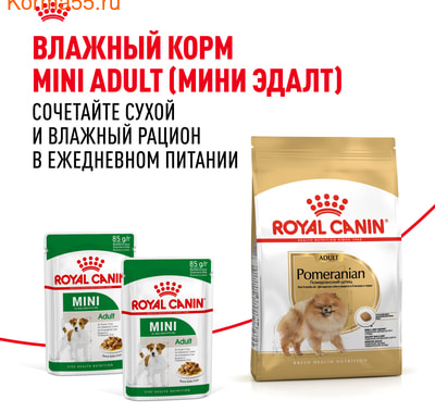   Royal Canin Pomeranian Adult (,  7)