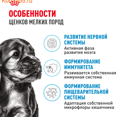   Royal Canin Mini Puppy (,  2)