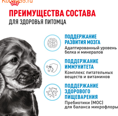   Royal Canin Mini Puppy (,  3)