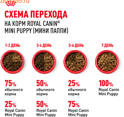   Royal Canin Mini Puppy (,  7)