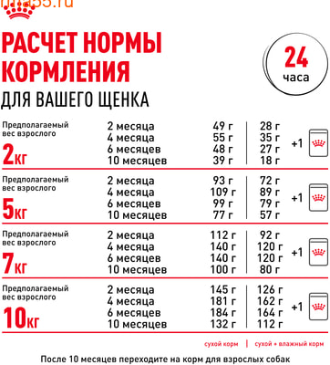   Royal Canin Mini Puppy (,  9)