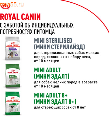   Royal Canin Mini Puppy (,  10)