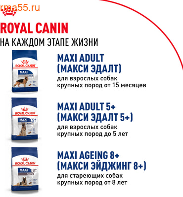   Royal anin Maxi Puppy (,  9)