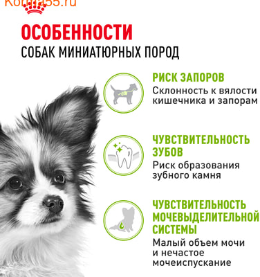   Royal canin X-Small Adult (,  2)