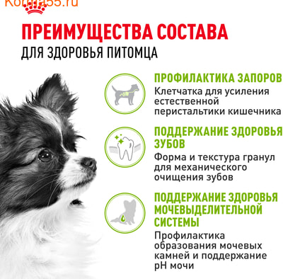   Royal canin X-Small Adult (,  3)