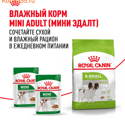   Royal canin X-Small Adult (,  8)