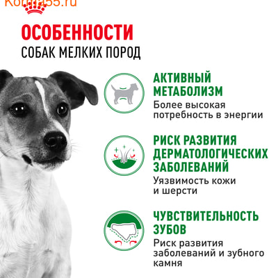  Royal canin Mini Adult (,  2)