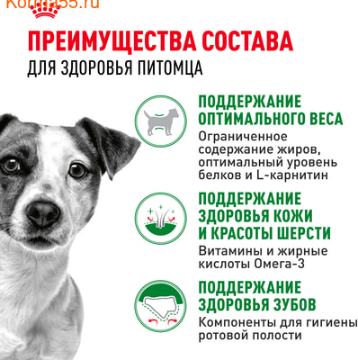   Royal canin Mini Adult (,  3)
