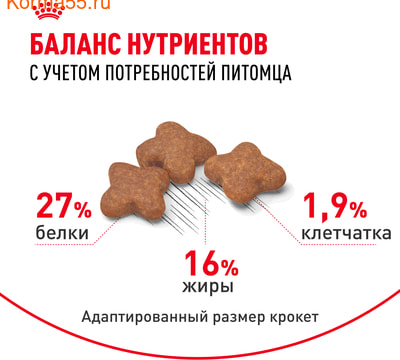   Royal canin Mini Adult (,  4)