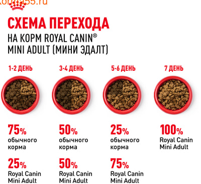   Royal canin Mini Adult (,  7)