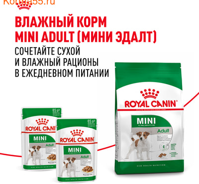   Royal canin Mini Adult (,  8)