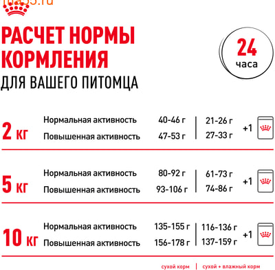   Royal canin Mini Adult (,  9)