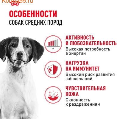   Royal canin Medium Adult (,  2)