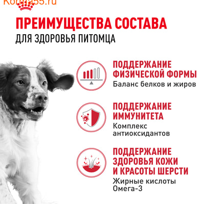   Royal canin Medium Adult (,  3)