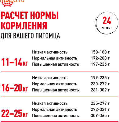   Royal canin Medium Adult (,  8)