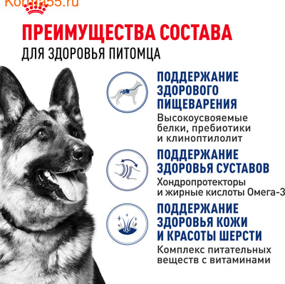   Royal canin Maxi Adult (,  3)