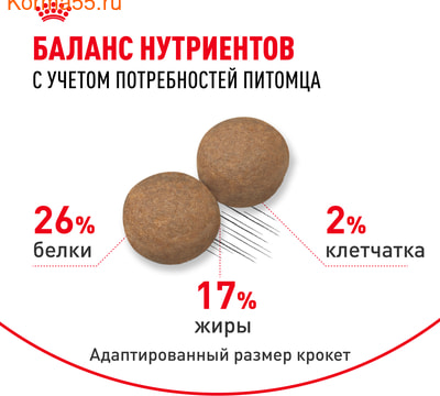   Royal canin Maxi Adult (,  4)