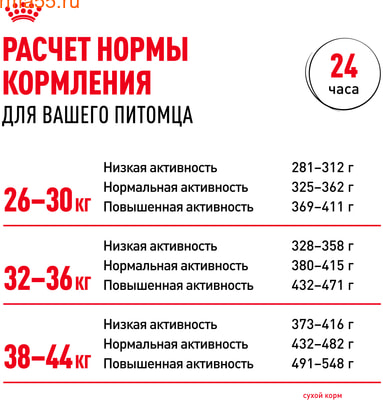   Royal canin Maxi Adult (,  8)