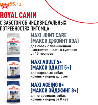   Royal canin Maxi Adult (,  9)