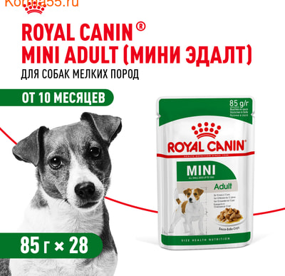   Royal Canin Mini Adult   (,  2)