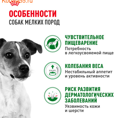   Royal Canin Mini Adult   (,  3)