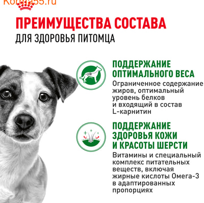   Royal Canin Mini Adult   (,  4)