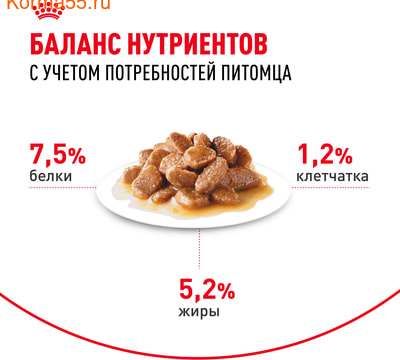   Royal Canin Mini Adult   (,  5)
