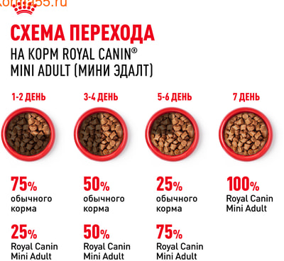   Royal Canin Mini Adult   (,  8)
