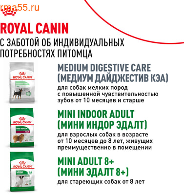   Royal Canin Mini Adult   (,  11)