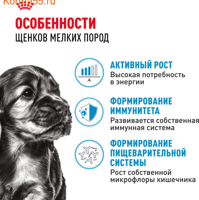   Royal Canin Mini Puppy   (,  3)