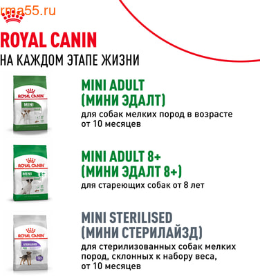   Royal Canin Mini Puppy   (,  11)