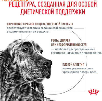   Royal canin Gastrointestinal Canin (,  2)