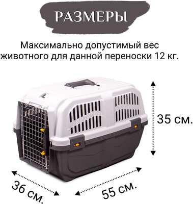 MPS  SKUDO 2 553635h        (,  13)