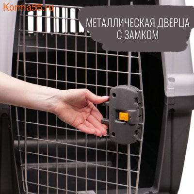 MPS  SKUDO 5 7958,565h        (,  11)