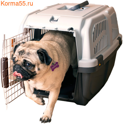 MPS  SKUDO 3 604140h        (,  8)