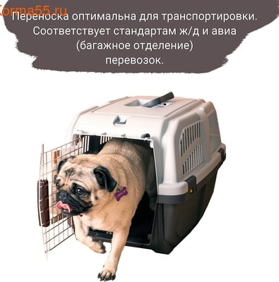 MPS  SKUDO 3 604140h        (,  10)