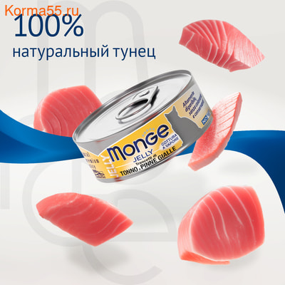   Monge jelly Adult cat      (,  2)