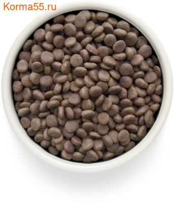   Grandorf VET RENAL (,  2)