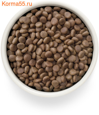  Grandorf VET GASTROINTESTINAL LOW FAT (,  2)