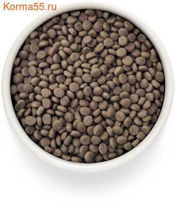   Grandorf VET RENAL (,  2)
