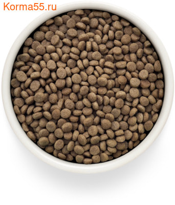   Grandorf VET GASTROINTESTINAL MODERATE CALORIE (,  2)