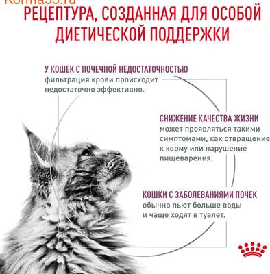  Royal canin renal with fish (  ),   (,  2)