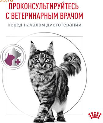   Royal canin renal with fish (  ),   (,  7)